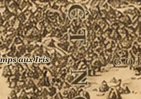 La Forêt Noire sur la carte de la Terre du Milieu
