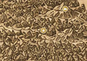 中つ国の地図上の森の古道
