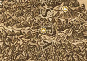 Velha Estrada da Floresta no mapa da Terra-média
